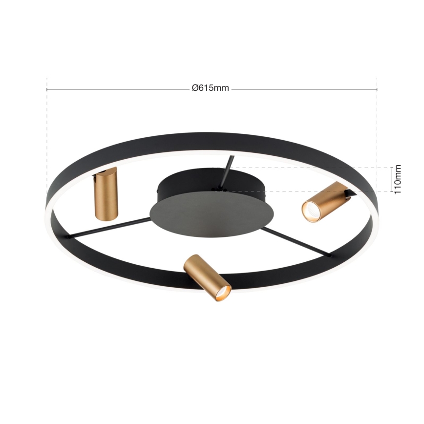 LED Stmívatelné stropní svítidlo BERLIN LED/50W/230V černá/zlatá