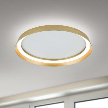 LED Stmívatelné stropní svítidlo MANTA LED/38W/230V 2700/3000/4000K pr. 45 cm zlatá