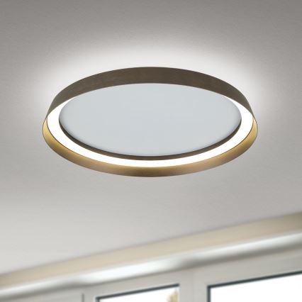 LED Stmívatelné stropní svítidlo MANTA LED/38W/230V 2700/3000/4000K pr. 45 cm hnědá