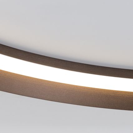 LED Stmívatelné stropní svítidlo MANTA LED/38W/230V 2700/3000/4000K pr. 45 cm hnědá