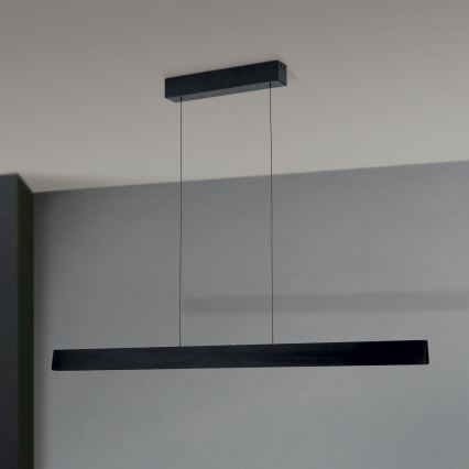 LED Stmívatelný lustr na lanku TARA LED/44W/230V 2700/3800/4500/5700K černá
