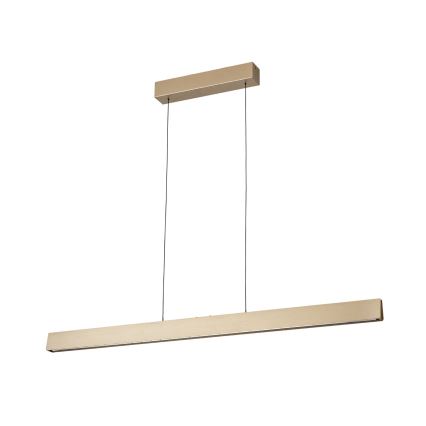 LED Stmívatelný lustr na lanku TARA LED/44W/230V 2700/3800/4500/5700K zlatá