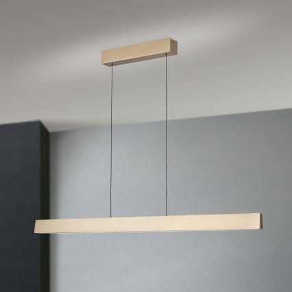 LED Stmívatelný lustr na lanku TARA LED/44W/230V 2700/3800/4500/5700K zlatá