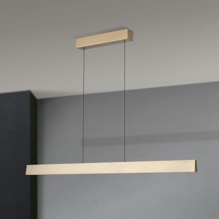 LED Stmívatelný lustr na lanku TARA LED/44W/230V 2700/3800/4500/5700K zlatá