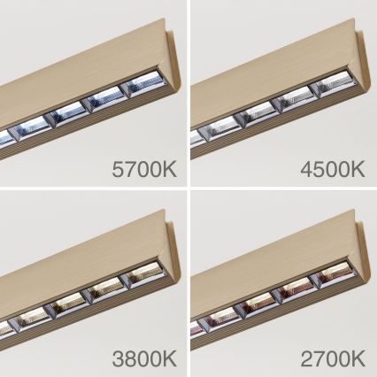 LED Stmívatelný lustr na lanku TARA LED/44W/230V 2700/3800/4500/5700K zlatá
