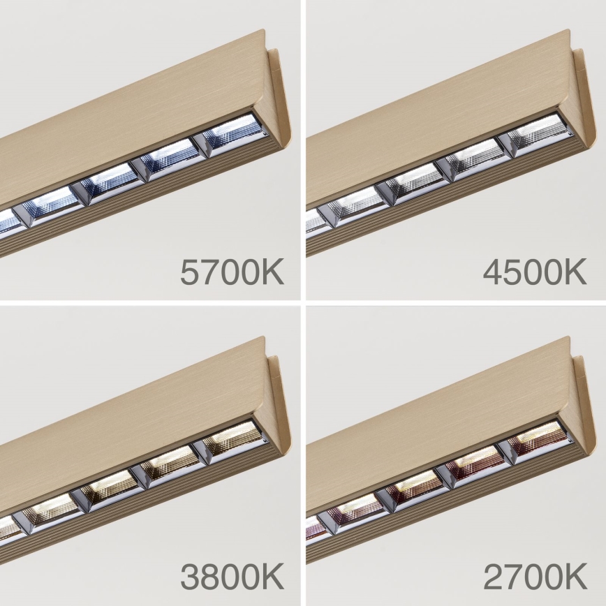 LED Stmívatelný lustr na lanku TARA LED/44W/230V 2700/3800/4500/5700K zlatá