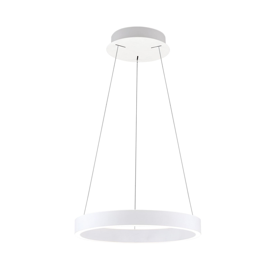LED Stmívatelný lustr na lanku KOLK LED/40W/230V 2700/3000/4000K pr. 40 cm bílá