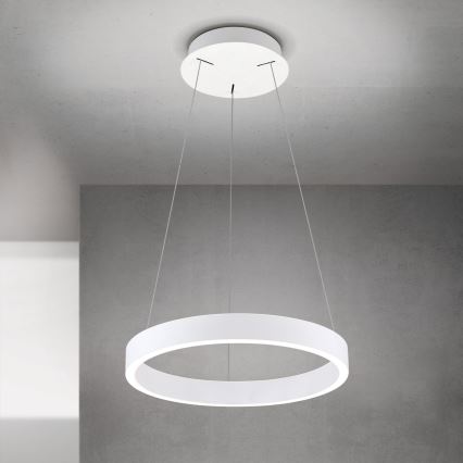 LED Stmívatelný lustr na lanku KOLK LED/40W/230V 2700/3000/4000K pr. 40 cm bílá