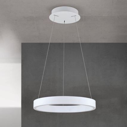 LED Stmívatelný lustr na lanku KOLK LED/40W/230V 2700/3000/4000K pr. 40 cm bílá