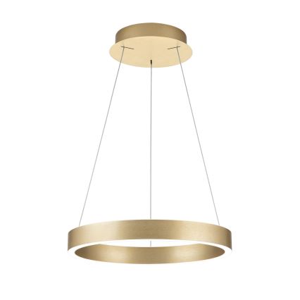 LED Stmívatelný lustr na lanku KOLK LED/40W/230V 2700/3000/4000K pr. 40 cm zlatá