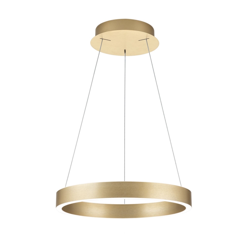LED Stmívatelný lustr na lanku KOLK LED/40W/230V 2700/3000/4000K pr. 40 cm zlatá