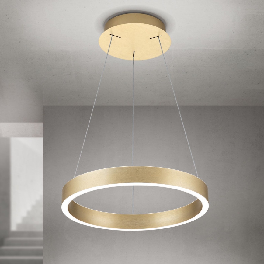 LED Stmívatelný lustr na lanku KOLK LED/40W/230V 2700/3000/4000K pr. 40 cm zlatá