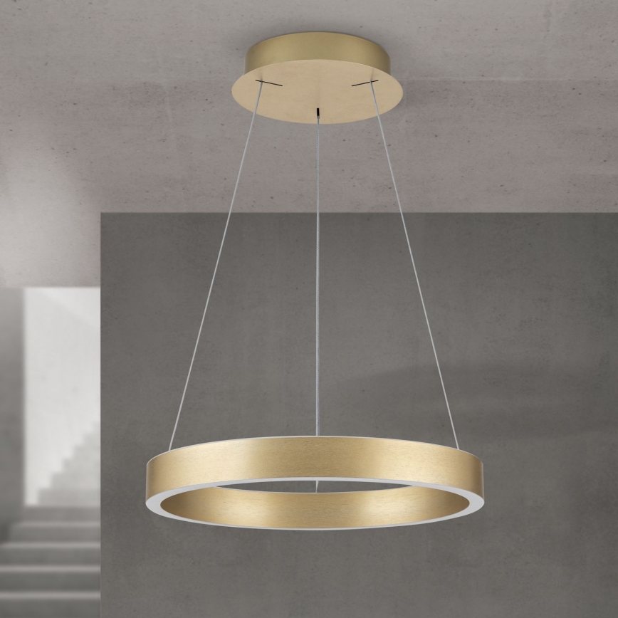 LED Stmívatelný lustr na lanku KOLK LED/40W/230V 2700/3000/4000K pr. 40 cm zlatá