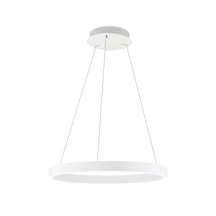 LED Stmívatelný lustr na lanku KOLK LED/60W/230V 2700/3000/4000K pr. 60 cm bílá