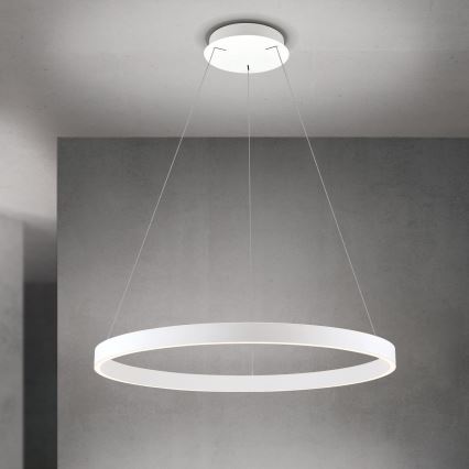 LED Stmívatelný lustr na lanku KOLK LED/80W/230V 2700/3000/4000K pr. 80 cm bílá