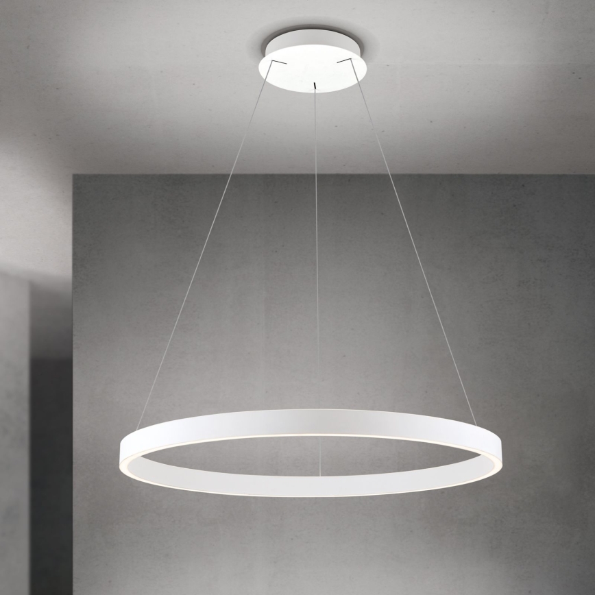 LED Stmívatelný lustr na lanku KOLK LED/80W/230V 2700/3000/4000K pr. 80 cm bílá