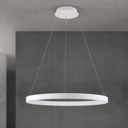 LED Stmívatelný lustr na lanku KOLK LED/80W/230V 2700/3000/4000K pr. 80 cm bílá