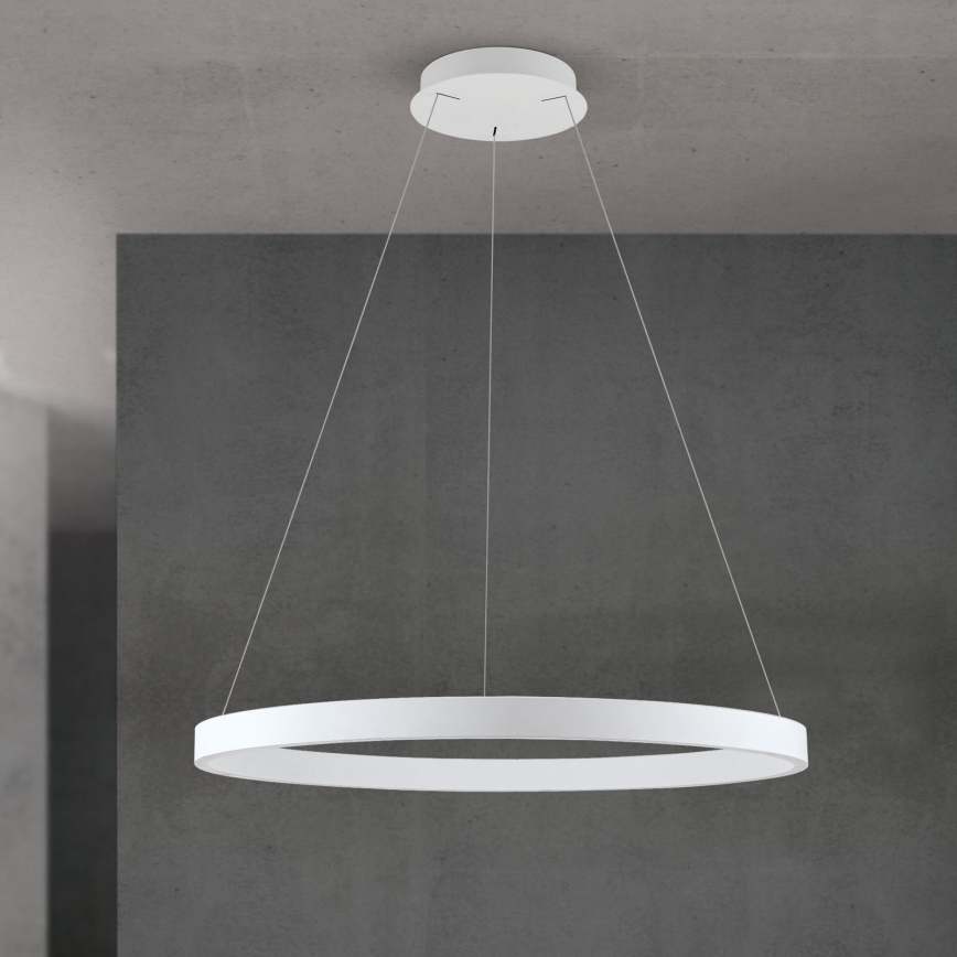 LED Stmívatelný lustr na lanku KOLK LED/80W/230V 2700/3000/4000K pr. 80 cm bílá