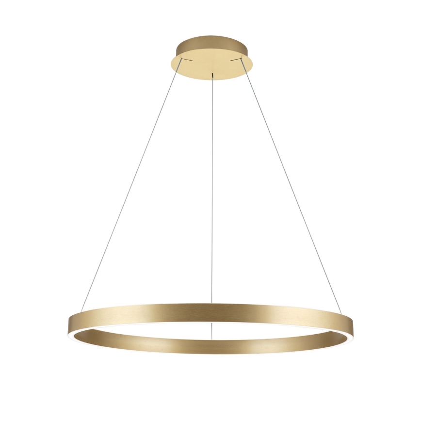 LED Stmívatelný lustr na lanku KOLK LED/80W/230V 2700/3000/4000K pr. 80 cm zlatá