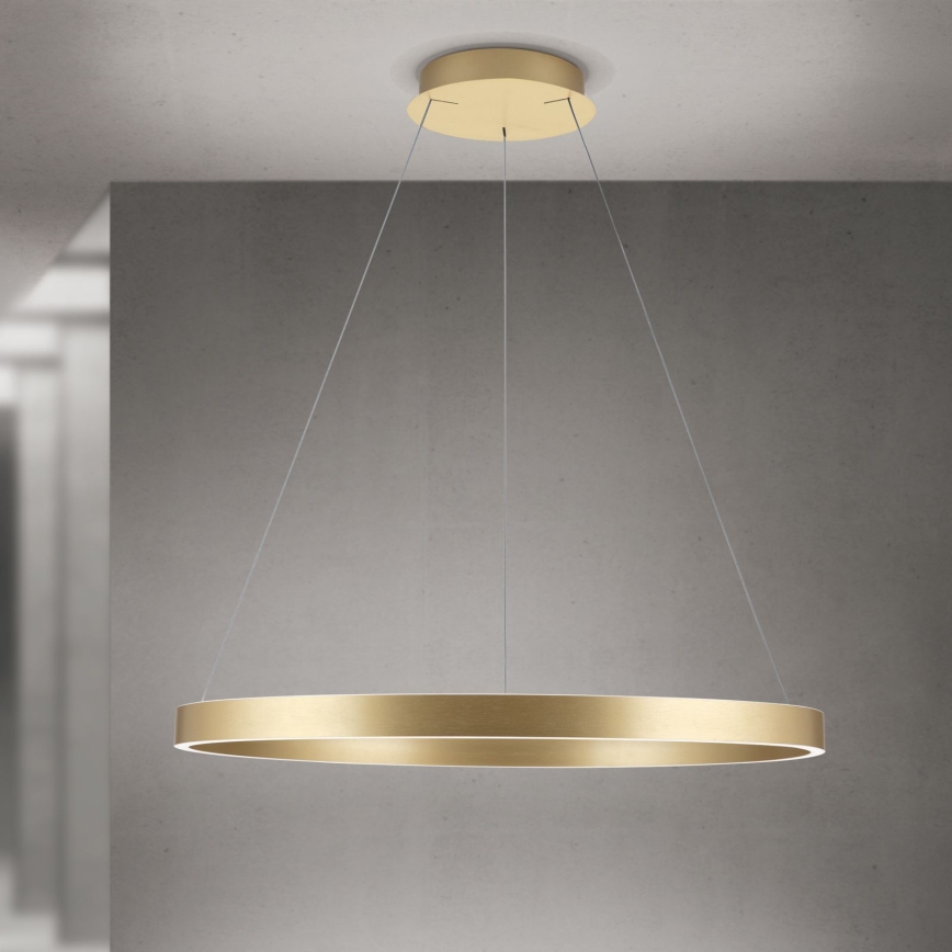 LED Stmívatelný lustr na lanku KOLK LED/80W/230V 2700/3000/4000K pr. 80 cm zlatá