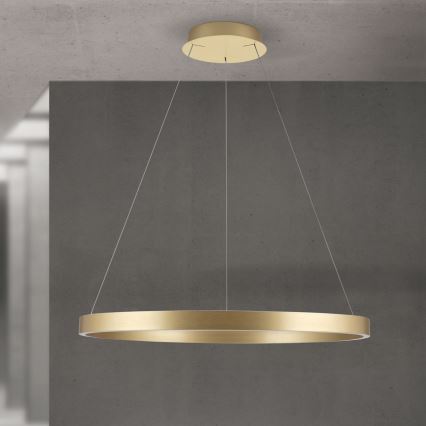 LED Stmívatelný lustr na lanku KOLK LED/80W/230V 2700/3000/4000K pr. 80 cm zlatá