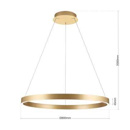 LED Stmívatelný lustr na lanku KOLK LED/80W/230V 2700/3000/4000K pr. 80 cm zlatá