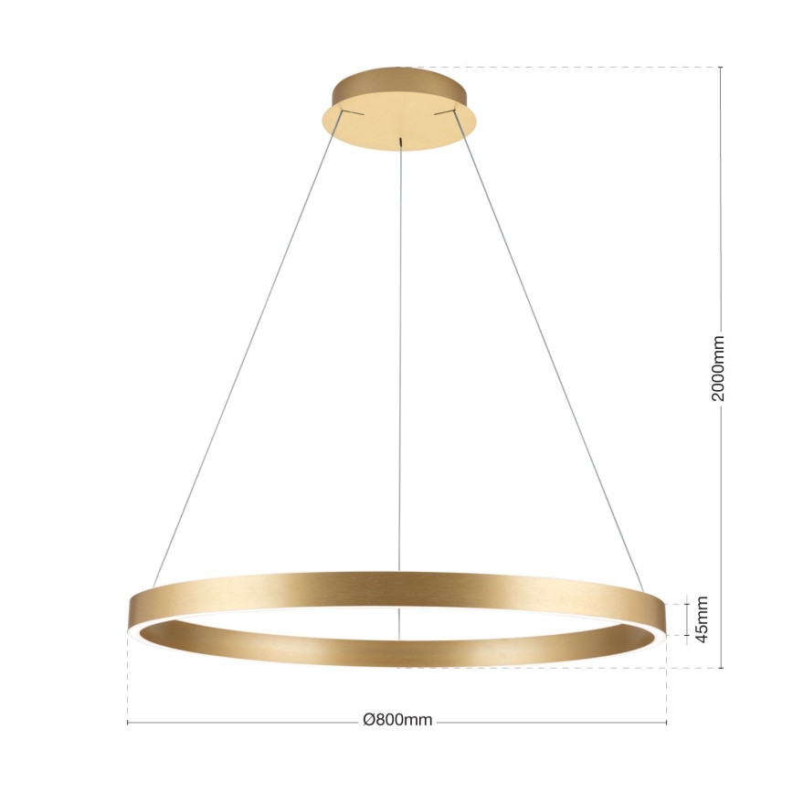 LED Stmívatelný lustr na lanku KOLK LED/80W/230V 2700/3000/4000K pr. 80 cm zlatá