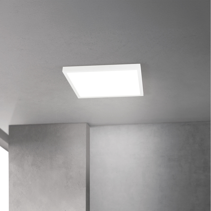 LED Stmívatelné stropní svítidlo DISC LED/30W/230V 2700/3000/4000K 39x39 cm bílá