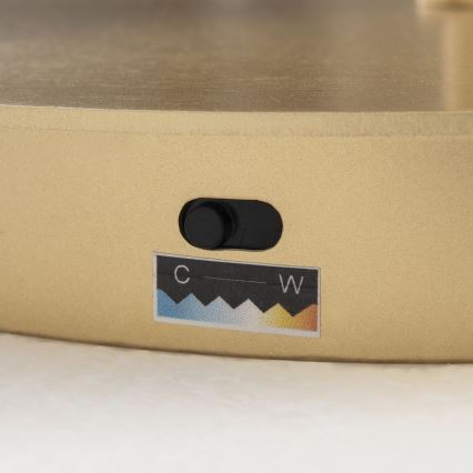 LED Stmívatelná stojací lampa KOLK LED/40W/230V 2700/4000K zlatá