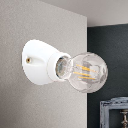 Nástěnné svítidlo FROST 1xE27/60W/230V bílá