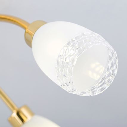 Přisazený lustr CARLA 5xG9/28W/230V zlatá