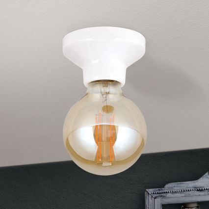 Stropní svítidlo FROST 1xE27/60W/230V bílá