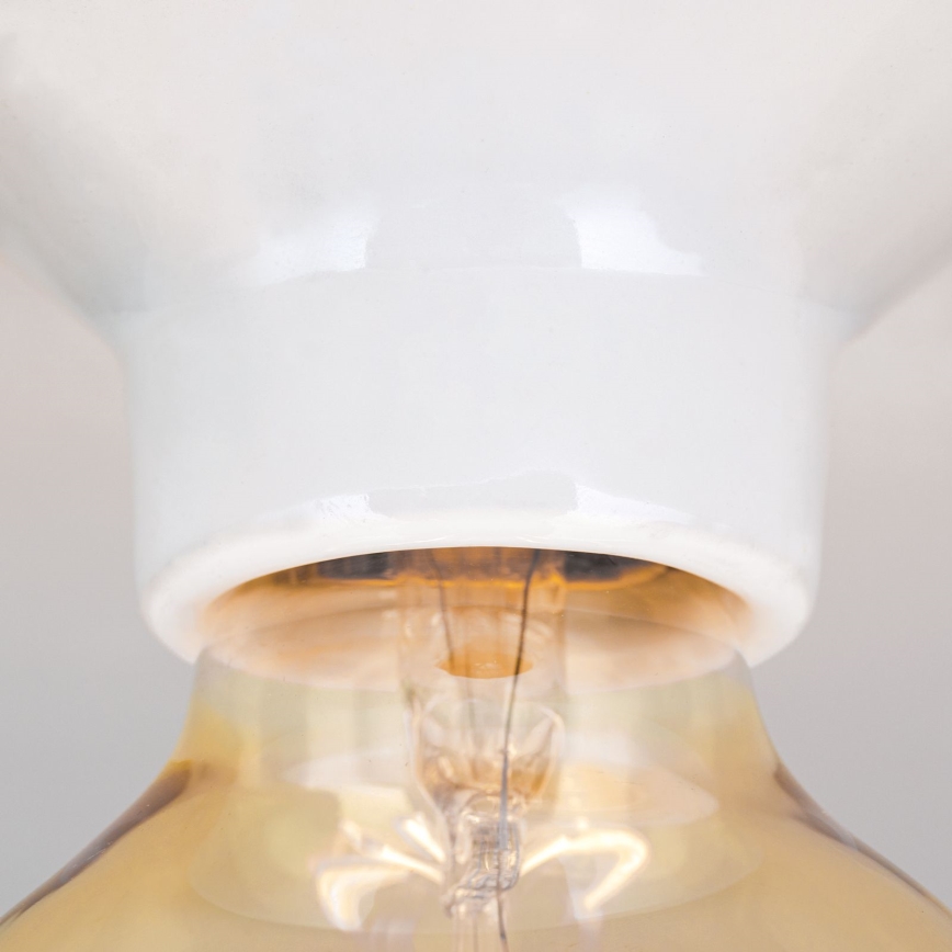 Stropní svítidlo FROST 1xE27/60W/230V bílá