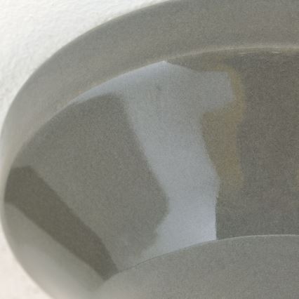 Stropní svítidlo FROST 1xE27/60W/230V šedá