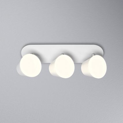 Osram - LED Koupelnové bodové svítidlo SPOT 3xLED/7W/230V IP44 3000/4000K