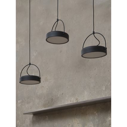 Osram - LED Lustr na lanku DECOR PUCK 3xLED/12W/230V černá