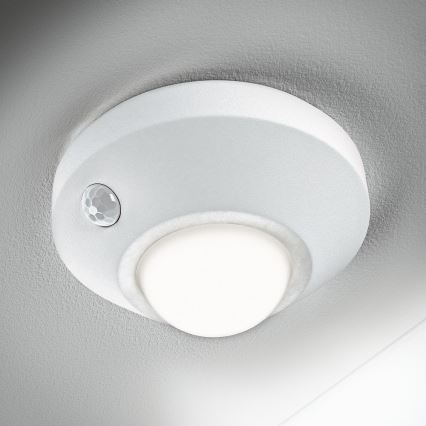 Osram - LED Orientační svítidlo se senzorem NIGHTLUX LED/2W/3xAA bílá