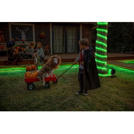 Osram - LED RGB Stmívatelný venkovní pásek FLEX 10m LED/70W/230V IP65 + dálkové ovládání