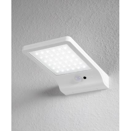 Osram - LED Solární nástěnné svítidlo se senzorem DOORLED LED/3W/3,3V 2000 mAh IP44 bílá