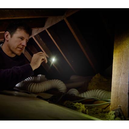 Osram - LED Stmívatelná svítilna LEDINSPECT TORCH 250 ESSENTIAL LED/2W/2xAAA IP44