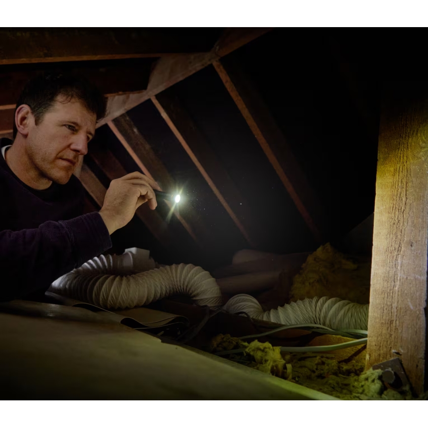 Osram - LED Stmívatelná svítilna LEDINSPECT TORCH 250 ESSENTIAL LED/2W/2xAAA IP44