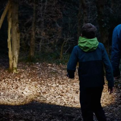 Osram - LED Stmívatelná svítilna LEDINSPECT TORCH 450 ESSENTIAL LED/6W/3xAAA IP44