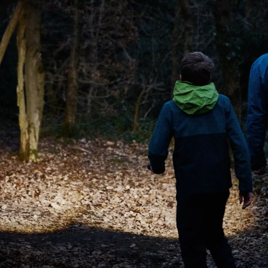 Osram - LED Stmívatelná svítilna LEDINSPECT TORCH 450 ESSENTIAL LED/6W/3xAAA IP44