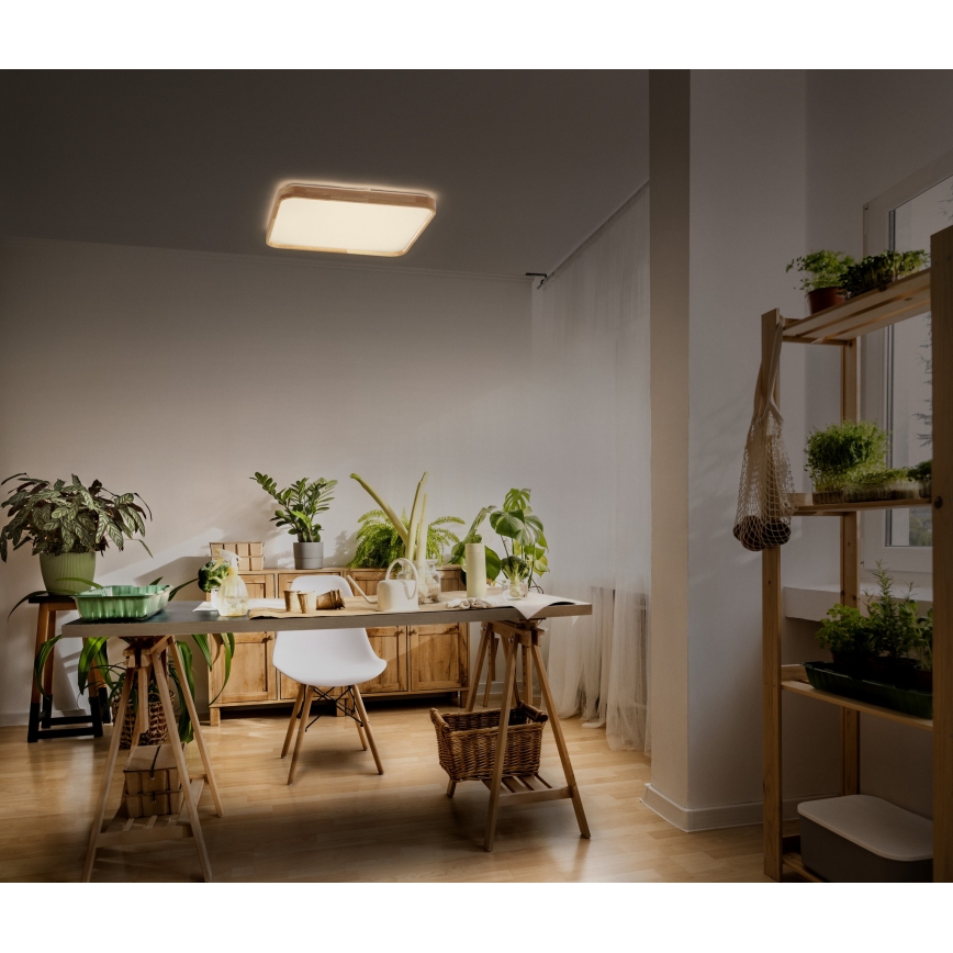 Osram - LED Stmívatelné stropní svítidlo ORBIS ALICIA LED/36W/230V 49,5x49,5 cm