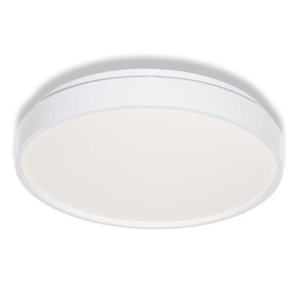 Osram - LED Stropní svítidlo CEILING LUXO LED/18W/230V pr. 32 cm bílá