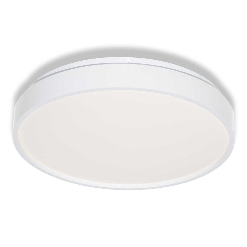 Osram - LED Stropní svítidlo CEILING LUXO LED/18W/230V pr. 32 cm bílá