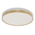Osram - LED Stropní svítidlo CEILING LUXO LED/36W/230V pr. 49 cm zlatá