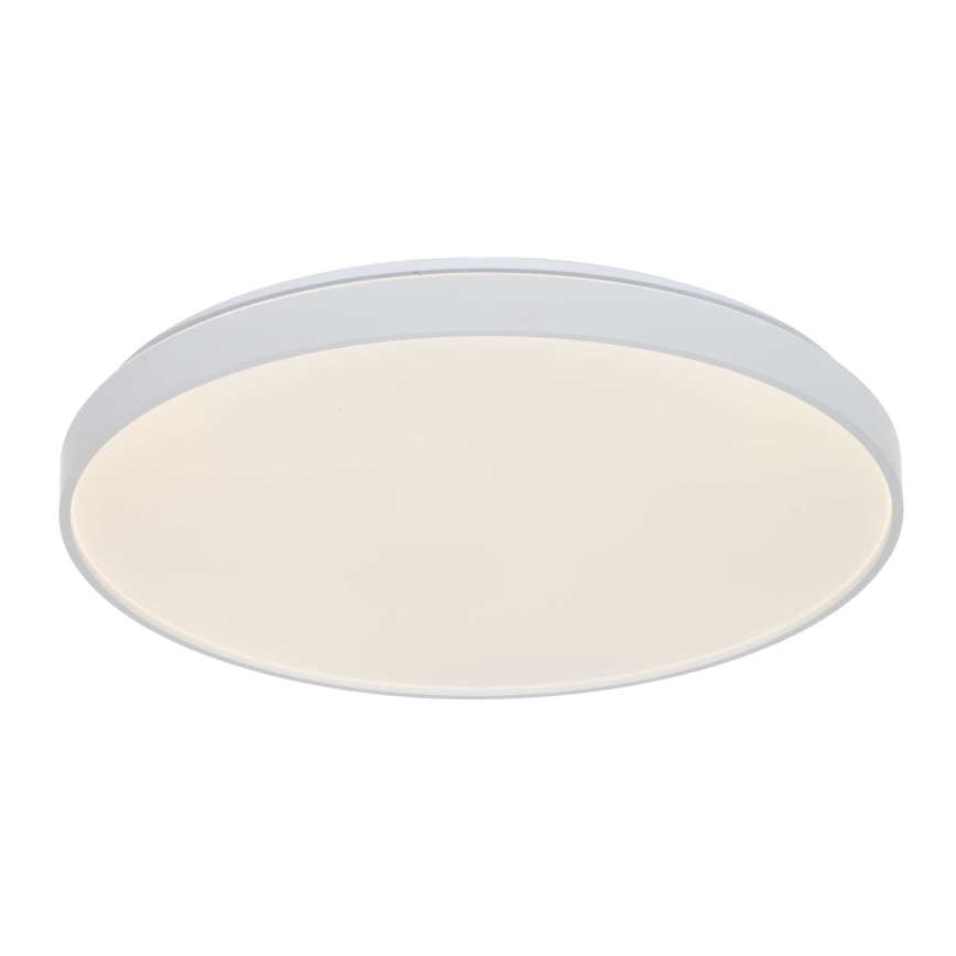Osram - LED Stropní svítidlo CEILING LUXO LED/60W/230V pr. 56 cm bílá