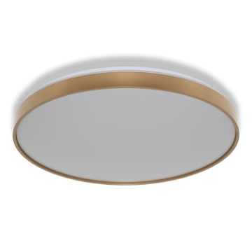 Osram - LED Stropní svítidlo CEILING LUXO LED/60W/230V pr. 56 cm zlatá