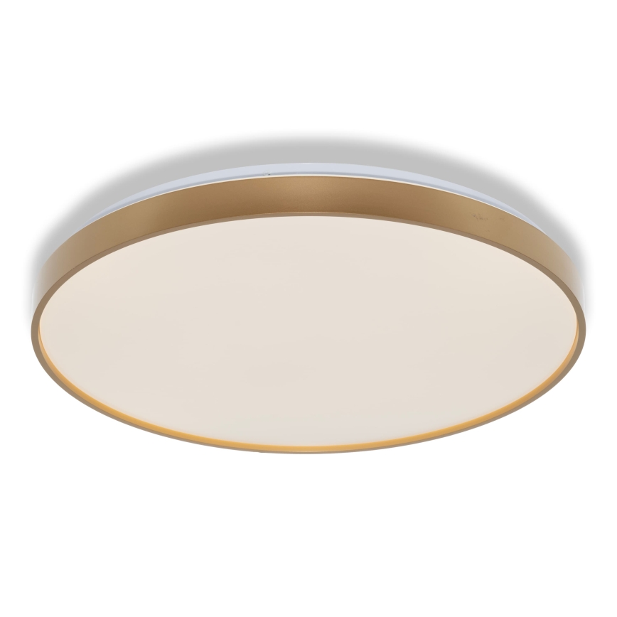 Osram - LED Stropní svítidlo CEILING LUXO LED/60W/230V pr. 56 cm zlatá